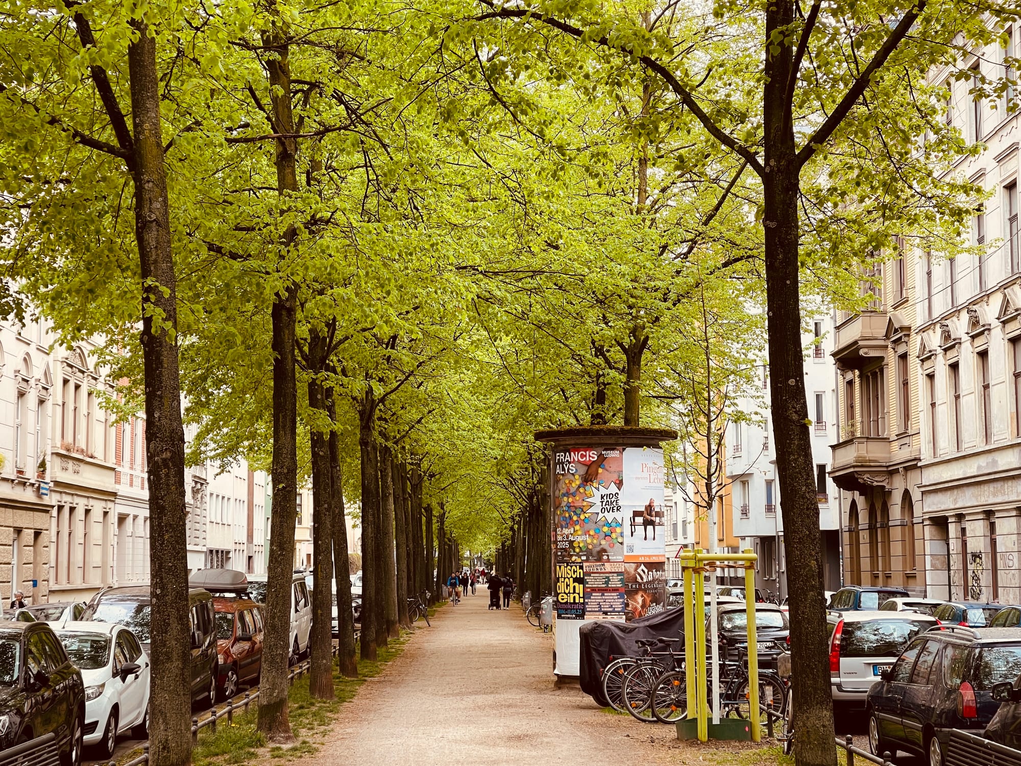 Wasser als Fundament für Urban Tree Intelligence