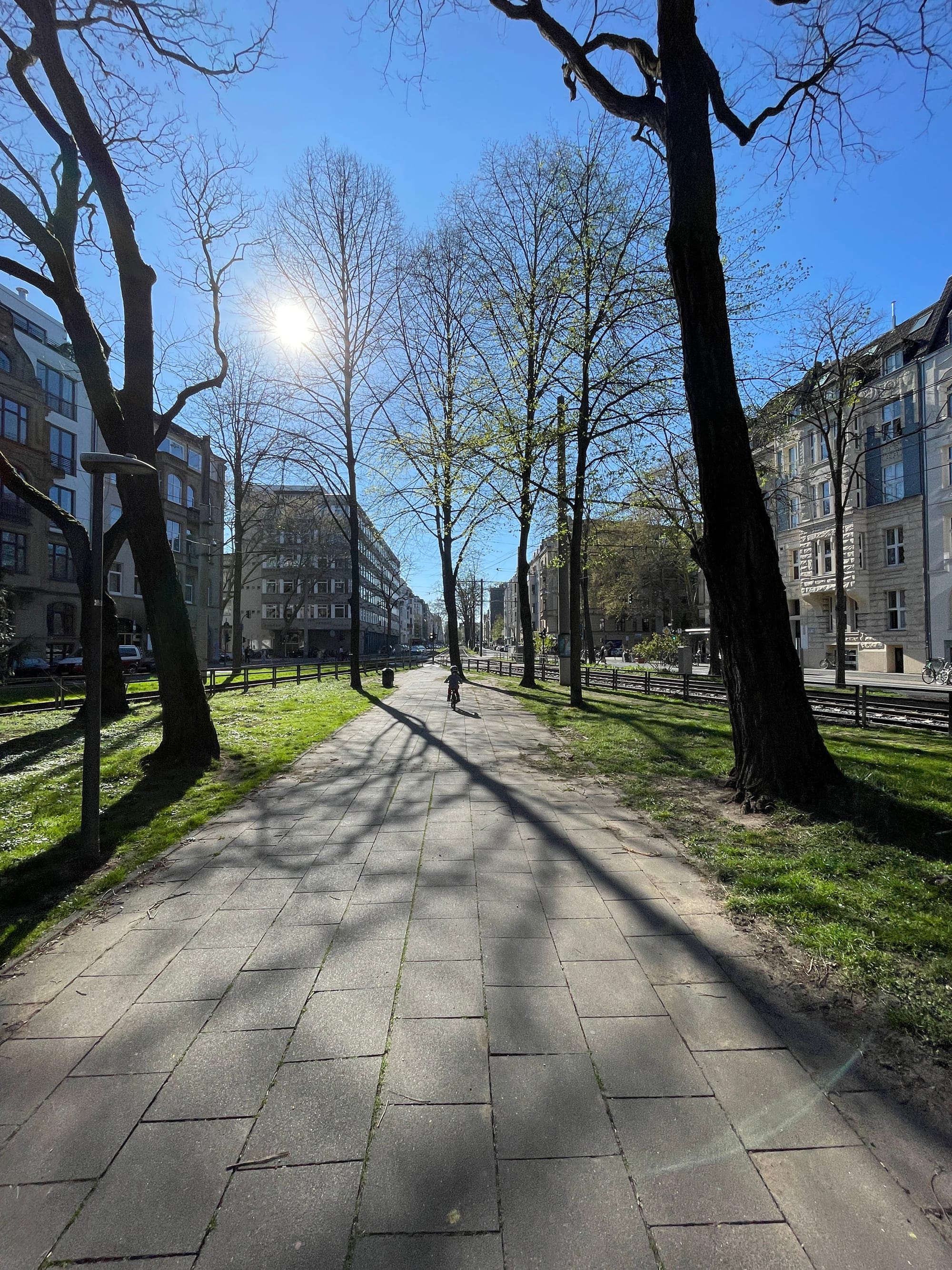 Urban Tree Intelligence: Smarte Bäume rufen nach Wasser