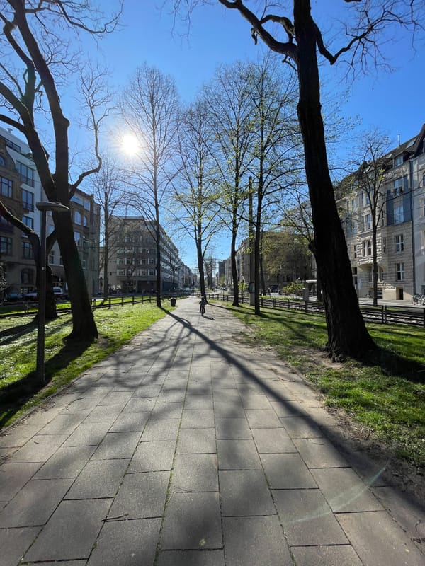 Urban Tree Intelligence: Smarte Bäume rufen nach Wasser